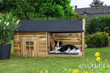 Hondenhoknaud87200940504856