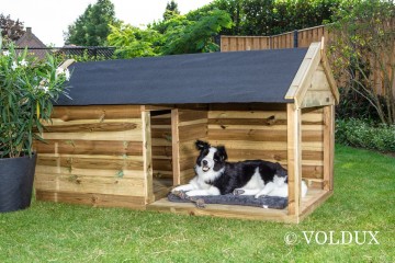 Hondenhokstorm87200940503629