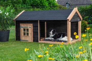 Volduxhondenhok sven87205691620957