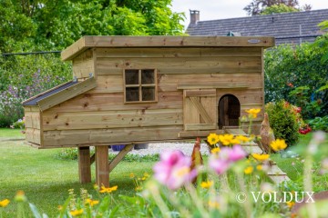 Volduxkippenhok finn872056916214910