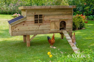 Volduxkippenhok finn872056916214911