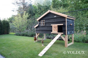 Volduxkippenhok jens xl87205691621328